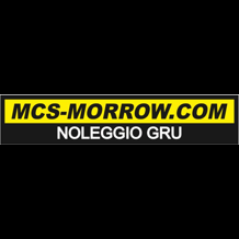 mcs-morrow-service.com favicon